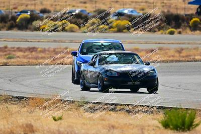 media/Nov-16-2024-Extreme Speed (Sat) [[6587d07cc4]]/Gold Group/Session 2 (Turns 3 and 5)/